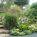 Landscaping Ideas For Sloping Front Yard