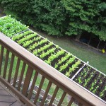 Balcony Vegetable Garden Ideas