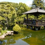 Hayward Japanese Gardens
