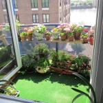 Indoor Vegetable Garden Ideas