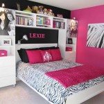 Teenage Girl Bedroom Paint Ideas